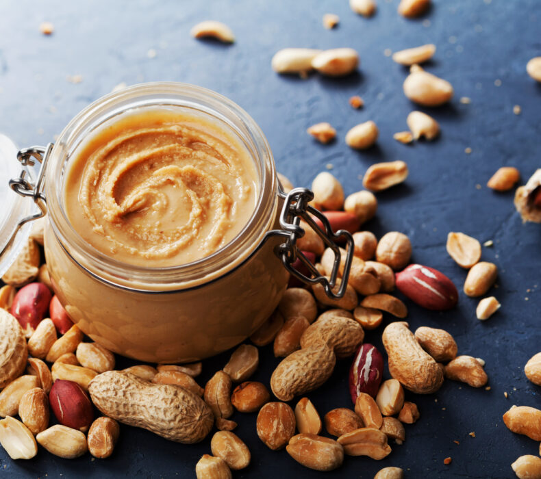 3 Best Food Processors for Nut Butter > August 2023 > Buying Guide